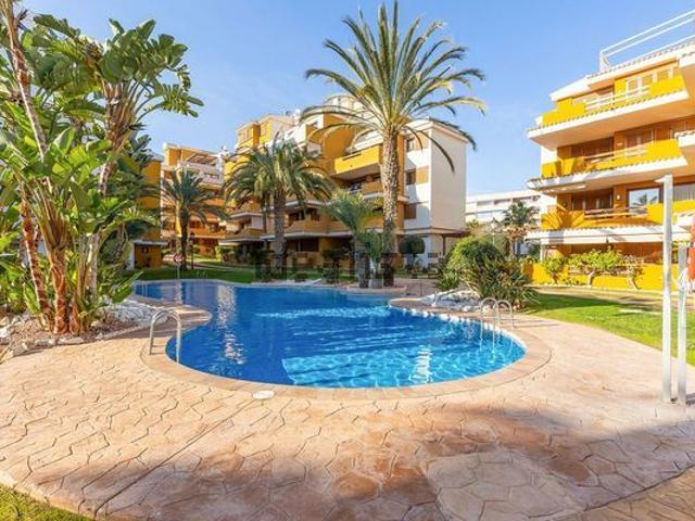 Apartamento en alquiler en Urbanización Punta Prima, el Baix Segura / La Vega Baja