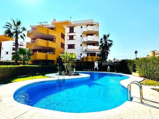 Apartamento en alquiler en Urbanización Punta Prima, el Baix Segura / La Vega Baja