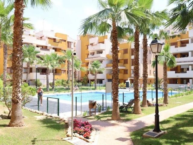 Apartamento en alquiler en Urbanización Punta Prima, el Baix Segura / La Vega Baja