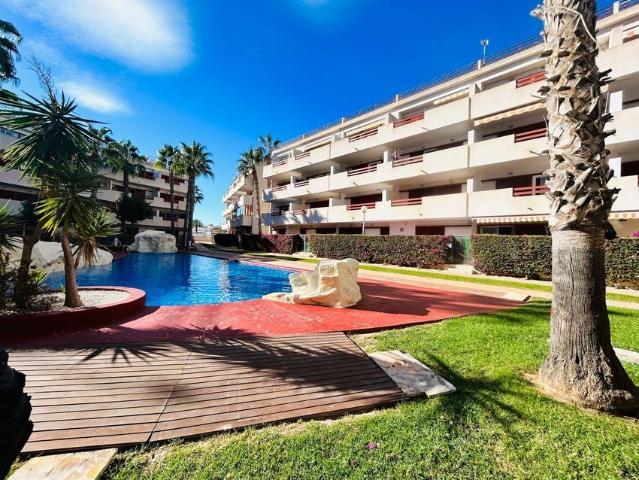 Apartamento en alquiler en Las Monserratinas, el Baix Segura / La Vega Baja