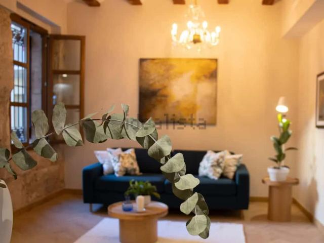 Apartamento en alquiler en Ciutat Vella, Comarca de València