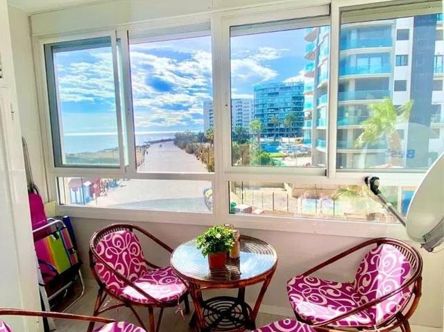 Apartamento en alquiler en Urbanización Punta Prima, el Baix Segura / La Vega Baja