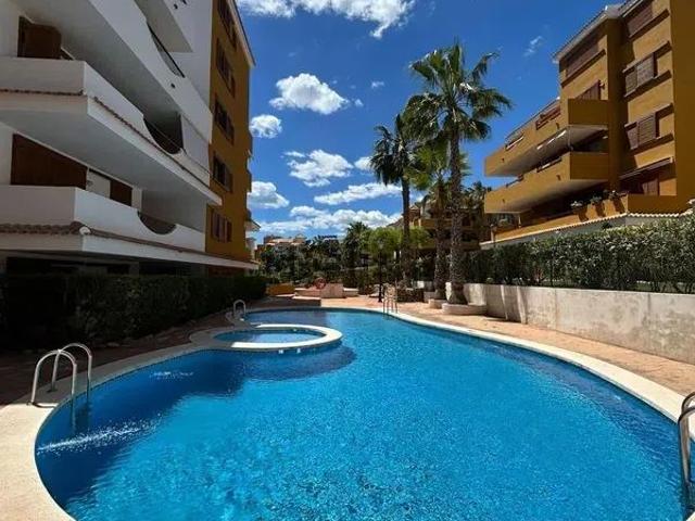 Apartamento en alquiler en Urbanización Punta Prima, el Baix Segura / La Vega Baja