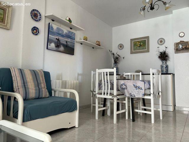 Piso en alquiler en Cabo Cervera-Playa la Mata, el Baix Segura / La Vega Baja