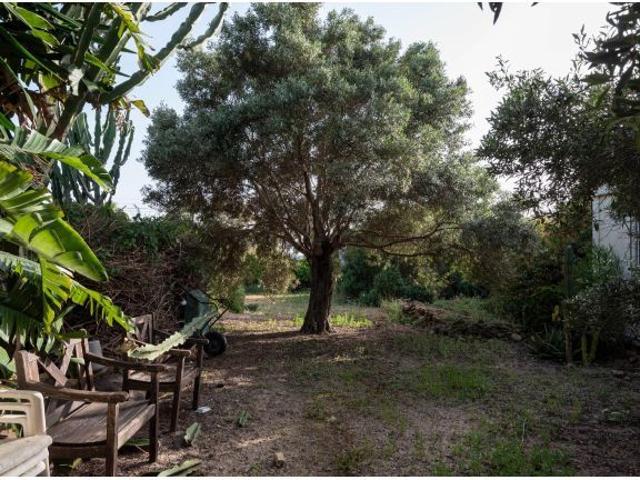 Casa en alquiler en Barbate, Los Caños de Meca