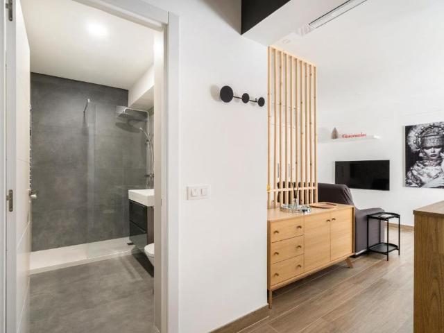 Estudio en alquiler en Centro, Madrid