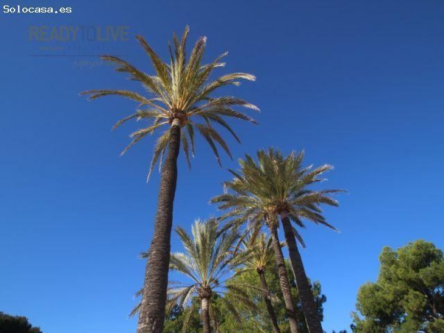 Piso en alquiler en Platja d'Alcúdia, Raiguer