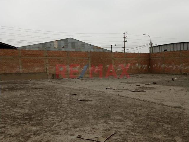 Terreno alquiler en Chacarilla De Carabayllo, Lima Metropolitana