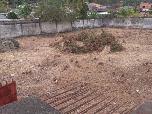 Terreno en alquiler en Gua, Portuguesa