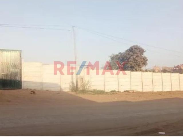 Local Comercial alquiler en Puente Piedra Hacienda, Lima Metropolitana