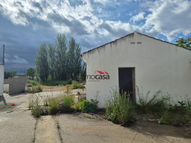 Local Comercial en alquiler en Bobadilla, Granada