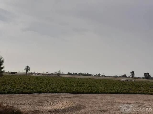 Terreno alquiler en San Andres, Ica