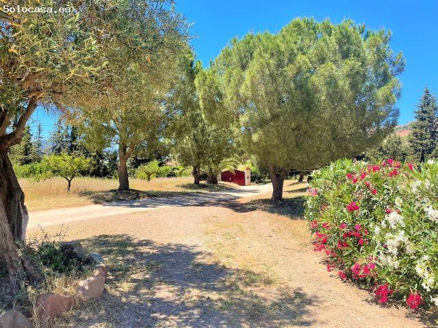 Local Comercial en alquiler en Campanillas, Málaga