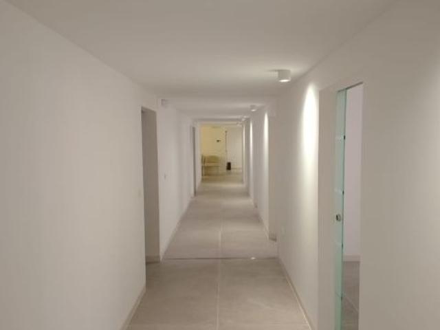 Local Comercial en alquiler en Murcia, Área Metropolitana de Murcia