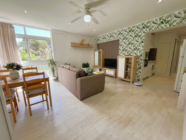 Estudio en alquiler en Dehesa de Campoamor, el Baix Segura / La Vega Baja