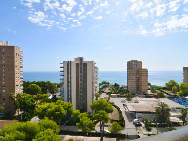 Estudio en alquiler en Dehesa de Campoamor, el Baix Segura / La Vega Baja