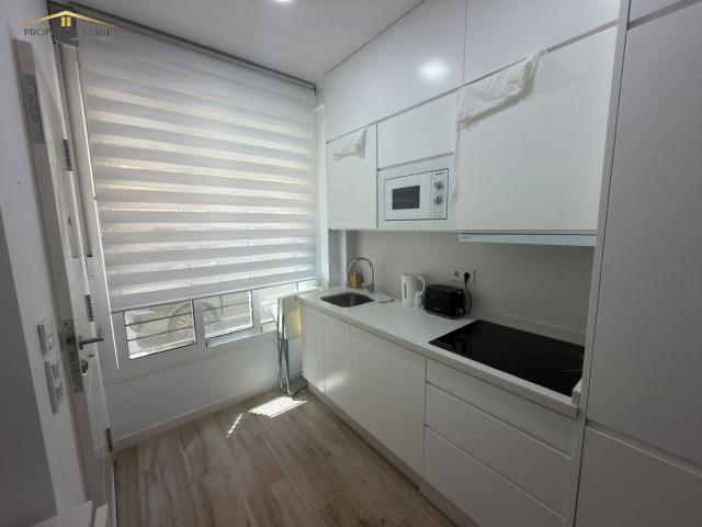 Estudio en alquiler en Carretera de Cádiz, Málaga-Costa del Sol