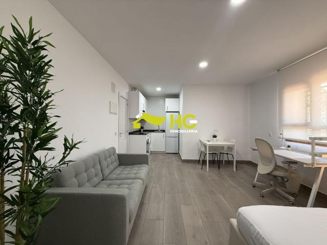 Estudio en alquiler en Villaviciosa De Odón, Madrid