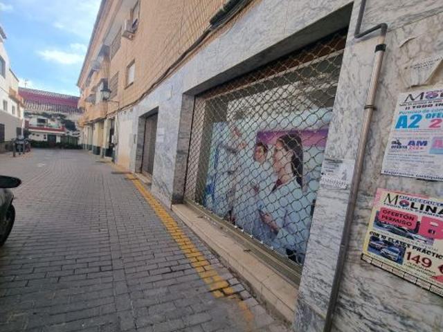 Local Comercial en alquiler en Comarca de la Vega de Granada, Andalucía