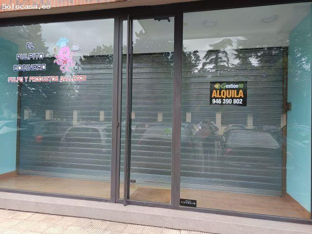 Local Comercial en alquiler en Mimetiz, Zalla