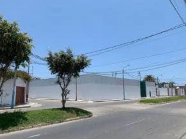 Local Comercial alquiler en Pisco, Ica