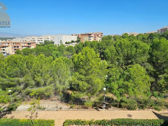 Apartamento en alquiler en Romeral, Molina De Segura