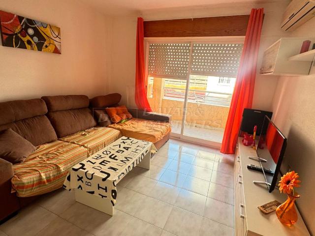 Apartamento en alquiler en Urbanización La Ceñuela, el Baix Segura / La Vega Baja