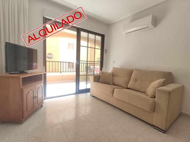Apartamento en alquiler en el Baix Segura / La Vega Baja, Valencia