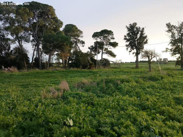 Local Comercial en alquiler en Mas Iglesias, Reus