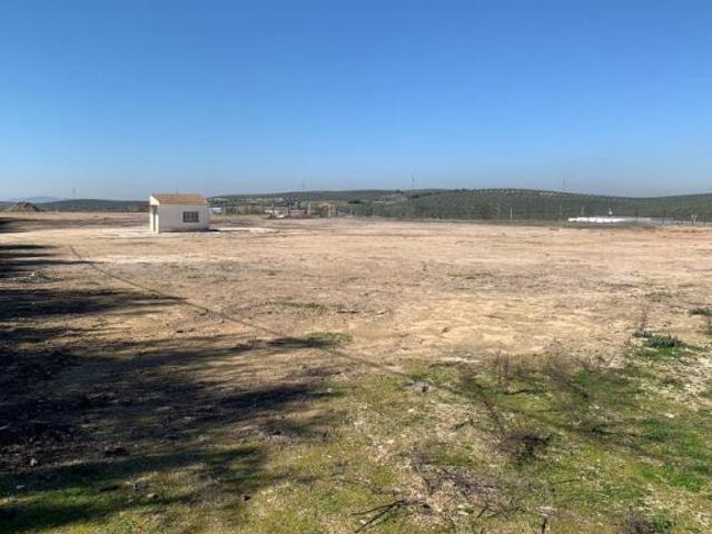 Terreno en alquiler en Lucena, Andalucía
