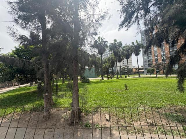 Local Comercial alquiler en Santiago De Surco, Lima Metropolitana