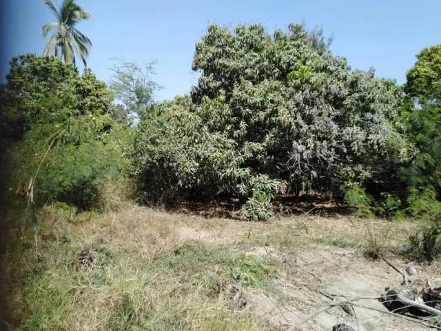 Terreno alquiler en Sullana, Piura