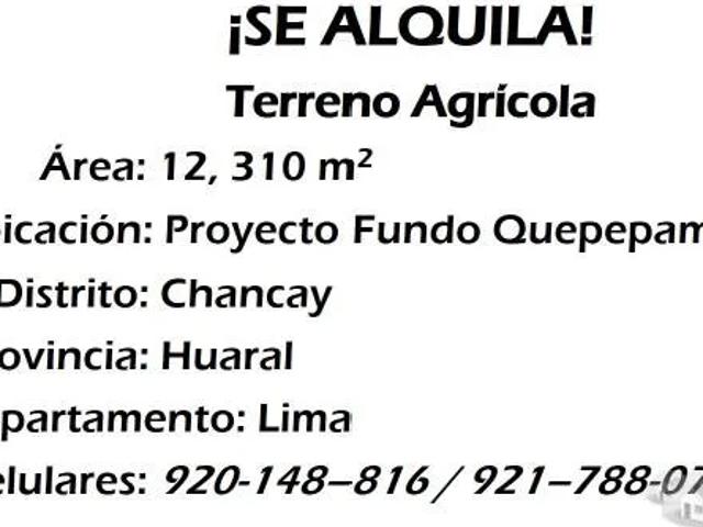 Terreno alquiler en Chancay, Lima Metropolitana