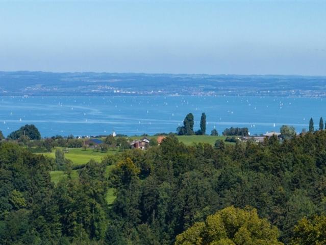 Einfamilienhaus kaufen in Schwarzenbach (SG), St. Gallen