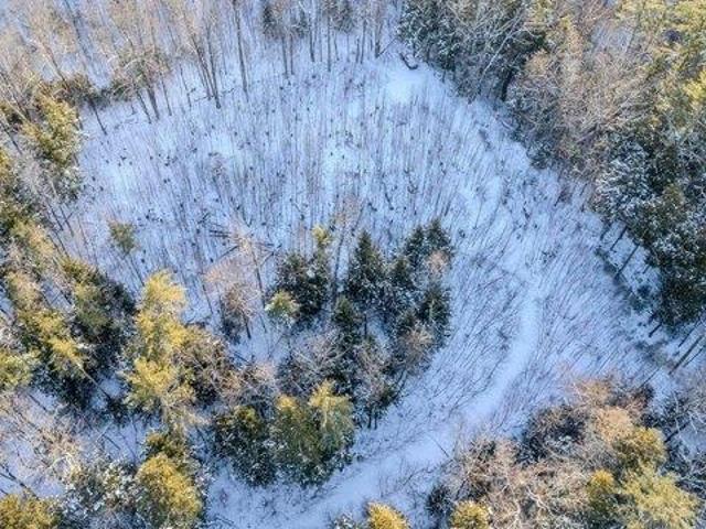 Land for sale in New Hampshire