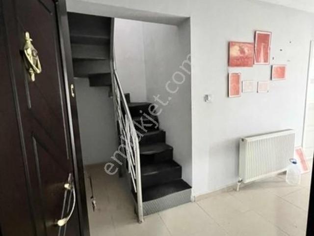 Çarşamba, Samsun içerisinde kiralık mülk