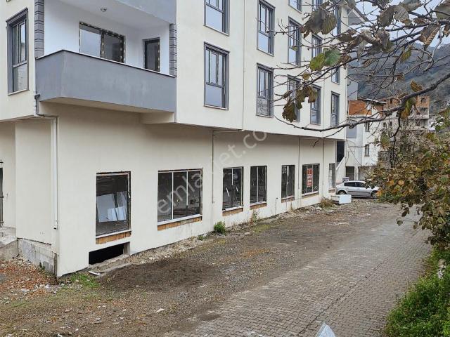 Hopa, Artvin içerisinde satılık Dükkan