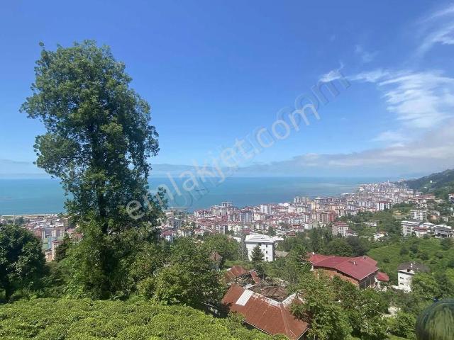 Rize içerisinde satılık mülk