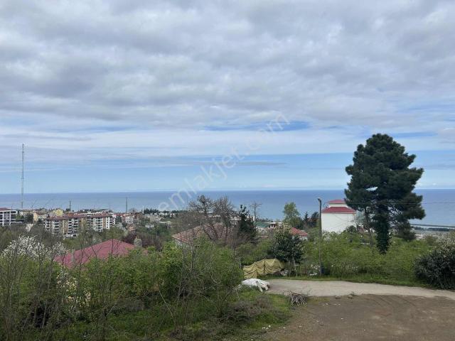 Trabzon, Ortahisar içerisinde satılık mülk