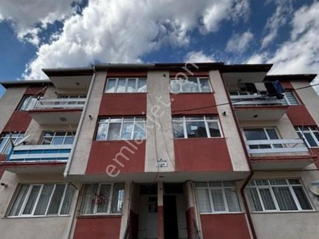 Sivas Merkez, Sivas içerisinde kiralık mülk