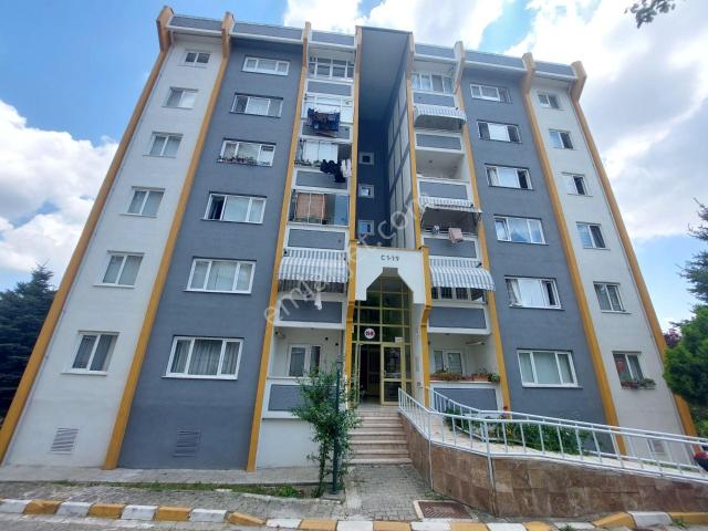 İzmit, Kocaeli içerisinde kiralık mülk
