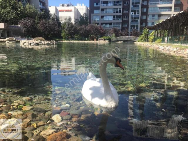 Çankaya, Ankara içerisinde kiralık mülk