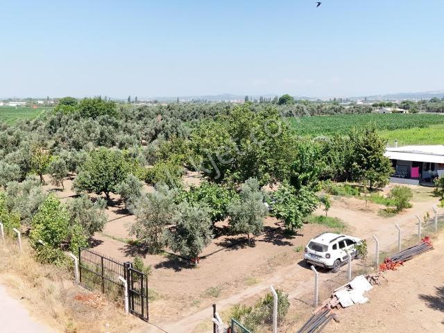 Ayvalik, Balikesir içerisinde satılık Fabrika