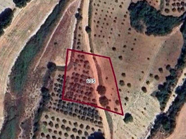 Altinözü, Hatay içerisinde satılık Arsa