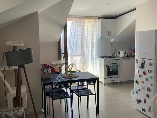 Maltepe, İstanbul içerisinde kiralık mülk