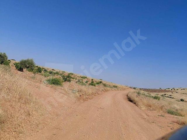 Altınyurt Mahallesi, Oğuzeli içerisinde satılık mülk