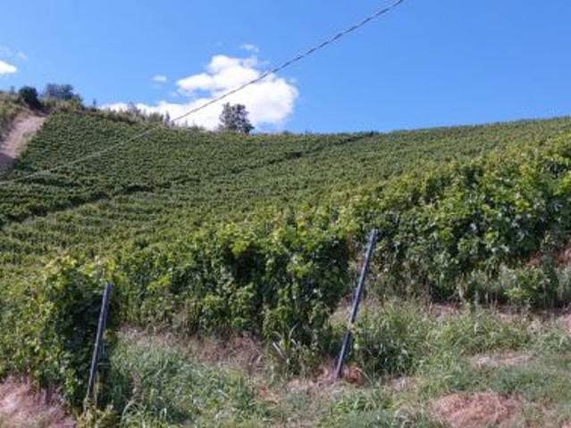 Terreno in vendita a Piemonte, Asti