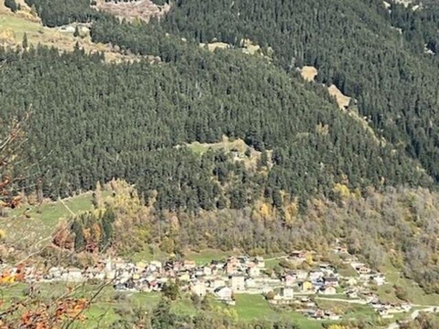 Einfamilienhaus kaufen in Faido, Tessin