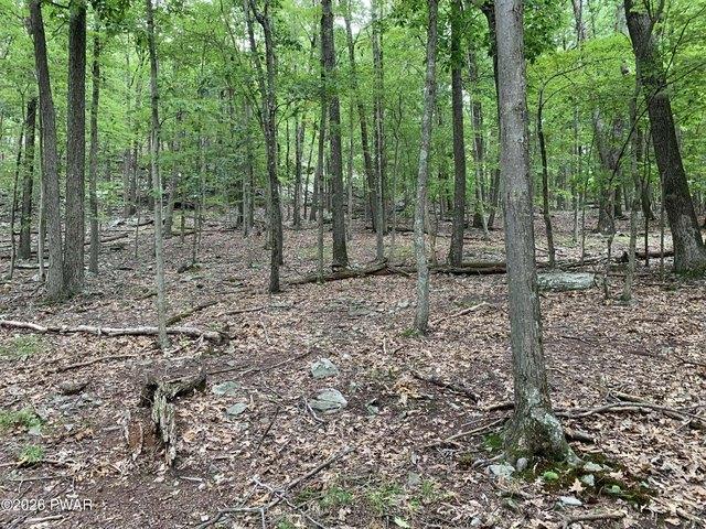 Land for sale in Greentown, Pennsylvania