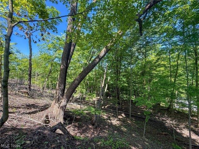 Farm for sale in Mingo Junction, Ohio